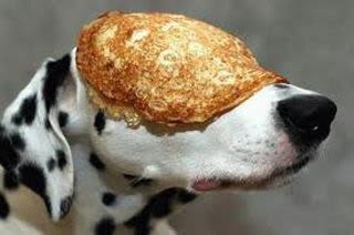 Pancake Dalmatian