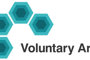 Voluntary Arts Ireland